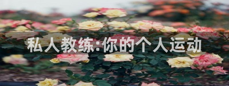 意昂2官网