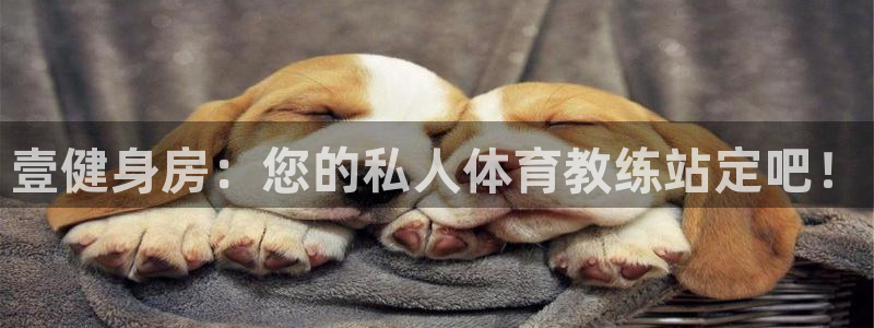 意昂2平台