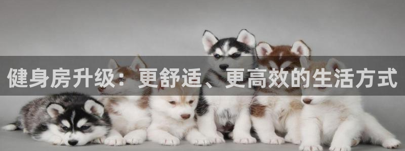意昂2娱乐